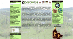 Desktop Screenshot of borowice.pl