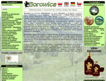 Tablet Screenshot of borowice.pl